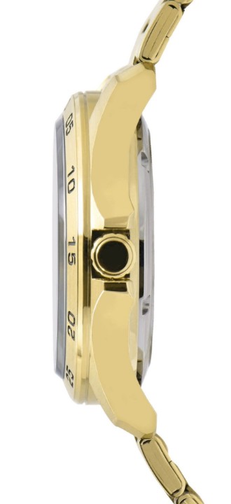 Obrázok z Lorus Automatic