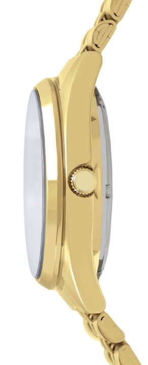 Obrázok z Lorus Automatic