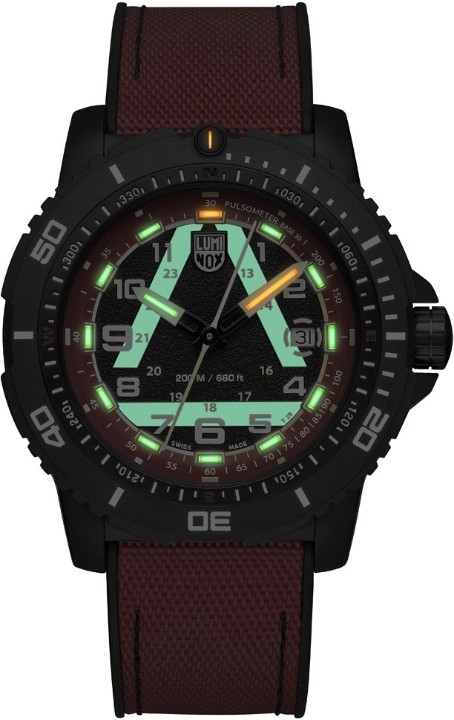 Obrázok z Luminox ICE-SAR 1080 Series Limited Edition