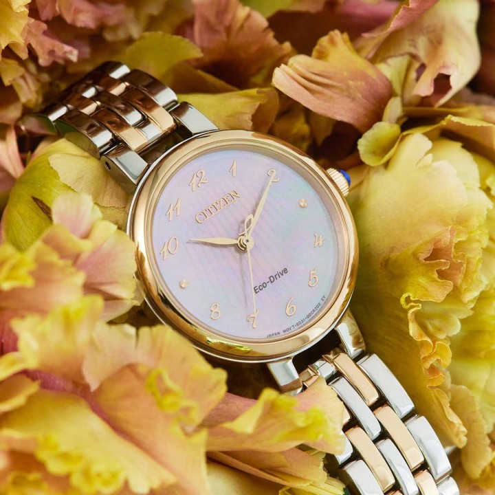 Obrázok z Citizen L Eco Drive