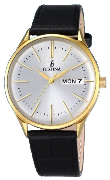 Obrázok z Festina Retro