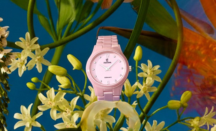 Obrázok z Festina Ceramic