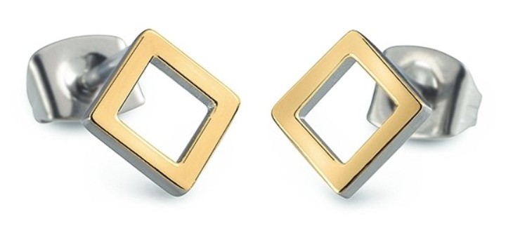 Obrázok z Boccia Titanium náušnice