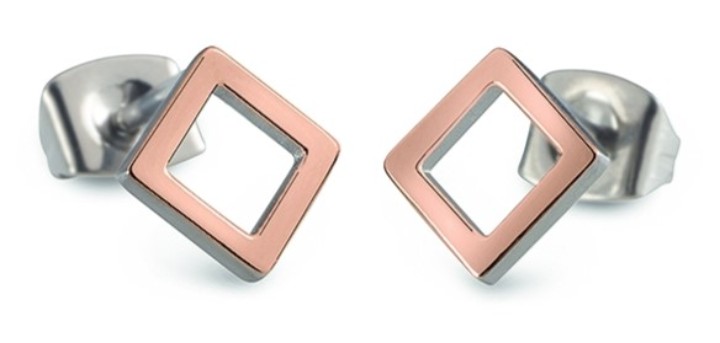 Obrázok z Boccia Titanium náušnice