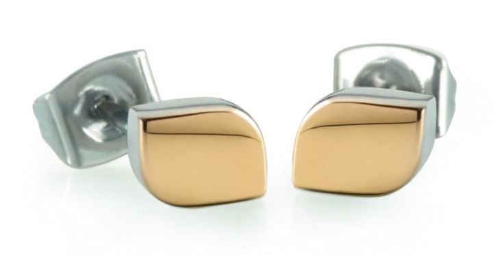 Obrázok z Boccia Titanium náušnice