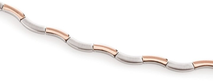 Obrázok z Boccia Titanium náhrdelník