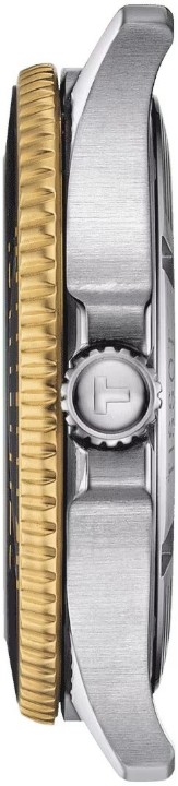 Obrázok z Tissot Seastar 1000 Quartz