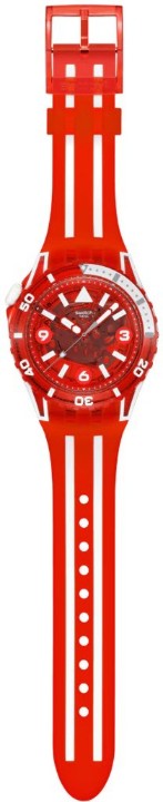 Obrázok z Swatch Lion's Mane