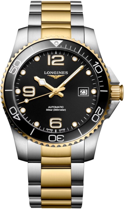 Obrázok z Longines HydroConquest