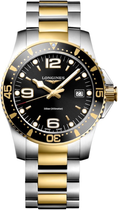 Obrázok z Longines HydroConquest