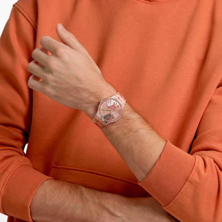 Obrázok z Swatch Riding the Clouds