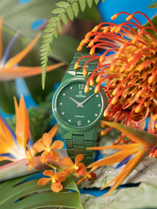 Obrázok z Festina Ceramic