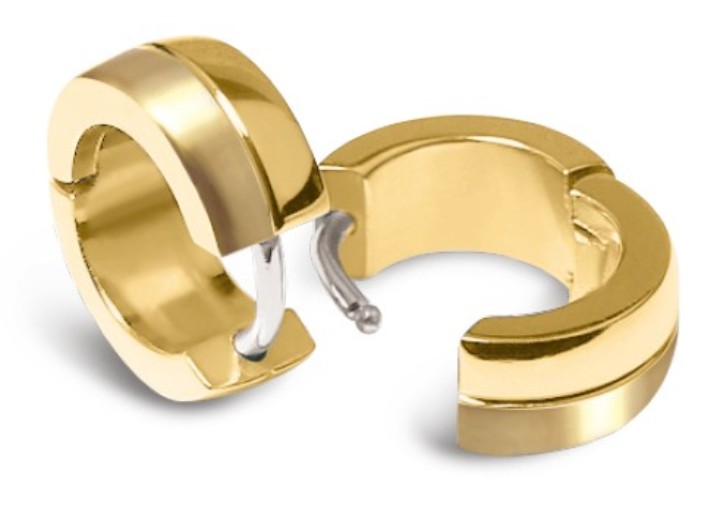 Obrázok z Boccia Titanium náušnice