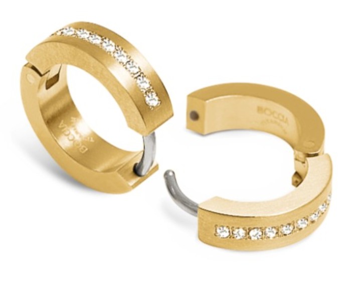 Obrázok z Boccia Titanium náušnice