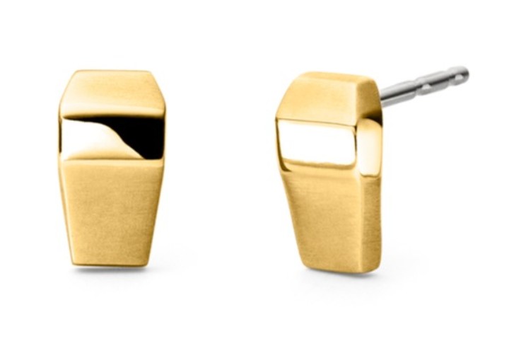 Obrázok z Boccia Titanium náušnice