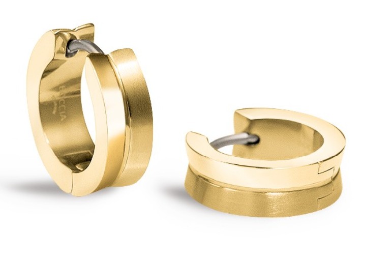 Obrázok z Boccia Titanium náušnice