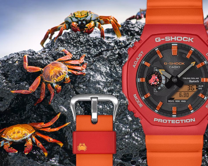 Obrázok z Casio G-Shock Charles Darwin Foundation Collaboration Model
