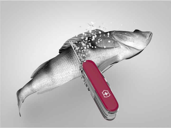 Obrázok z Kapesní nůž Victorinox Swiss Champ