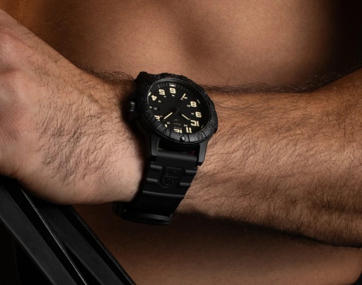 Obrázok z Luminox Leatherback Sea Turtle Giant 0320 Series