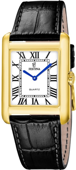 Obrázok z Festina Classics
