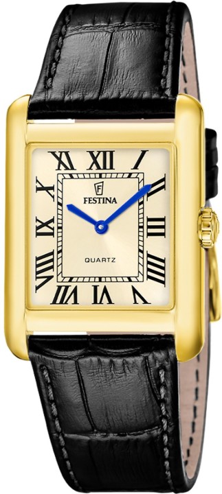 Obrázok z Festina Classics