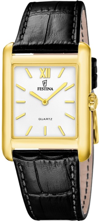 Obrázok z Festina Classics