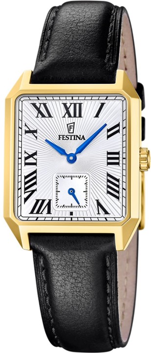 Obrázok z Festina Classics