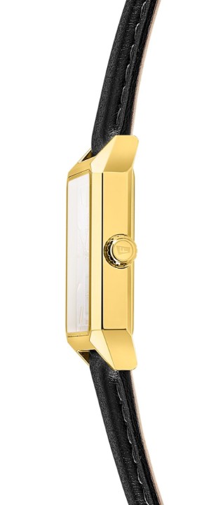 Obrázok z Festina Classics