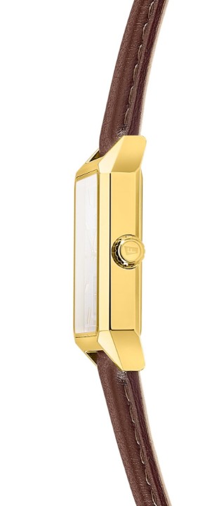 Obrázok z Festina Classics