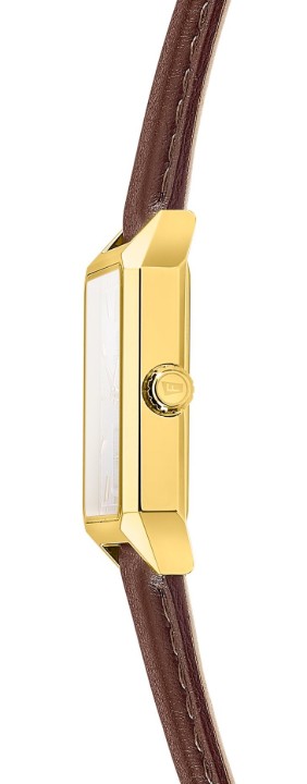 Obrázok z Festina Classics