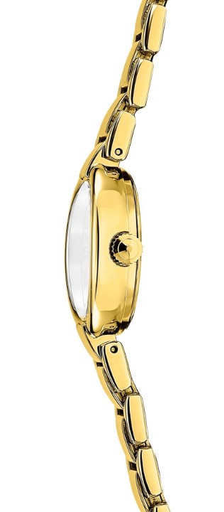 Obrázok z Festina Mademoiselle