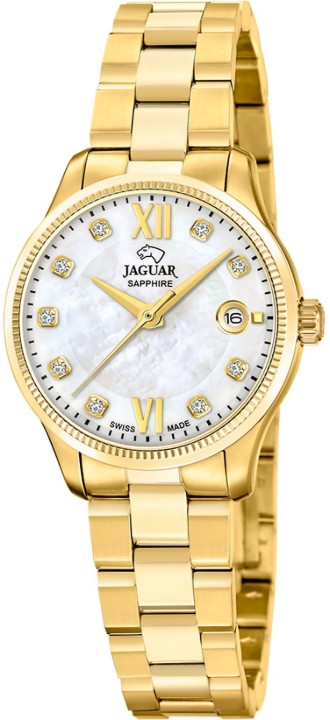 Obrázok z Jaguar Acamar