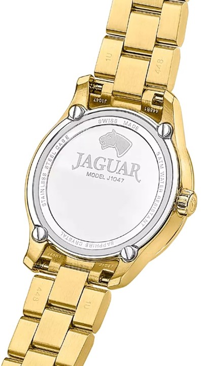 Obrázok z Jaguar Acamar
