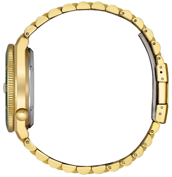 Obrázok z Citizen Tsuyosa Shore Automatic