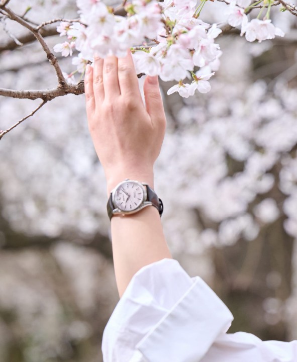 Obrázok z Seiko Presage Classic