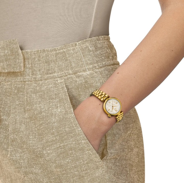 Obrázok z Tissot Classic Desir