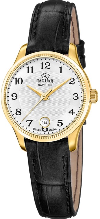 Obrázok z Jaguar Acamar