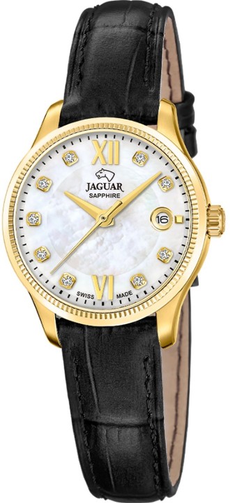 Obrázok z Jaguar Acamar