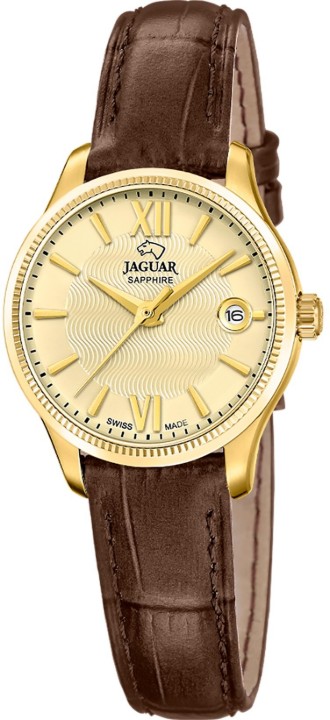Obrázok z Jaguar Acamar