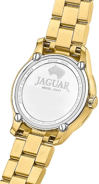 Obrázok z Jaguar Acamar