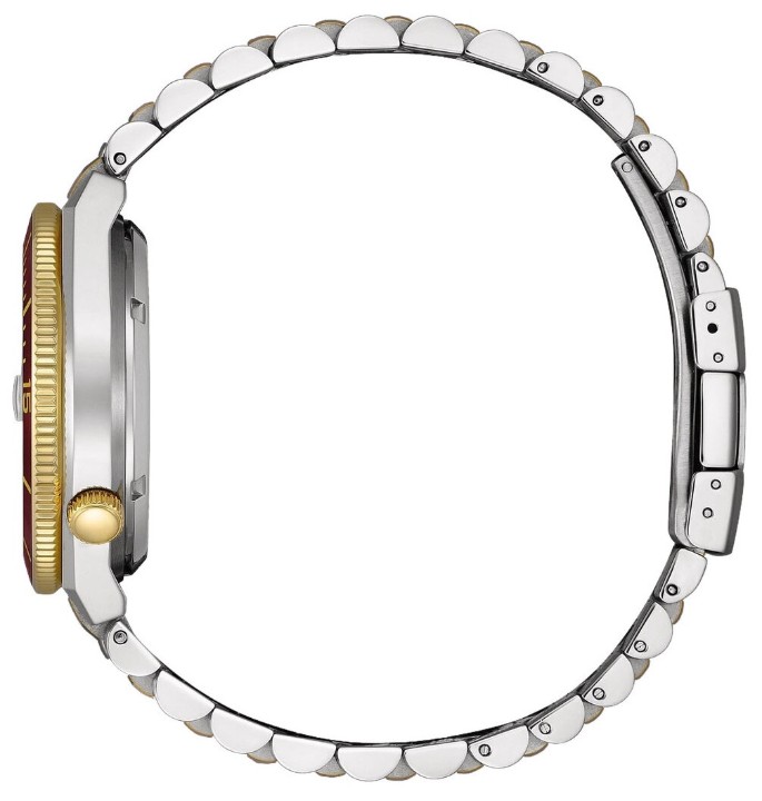 Obrázok z Citizen Tsuyosa Shore Automatic