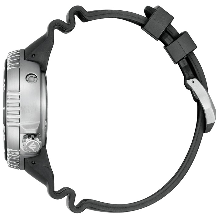 Obrázok z Citizen Promaster Professional Diver Solar