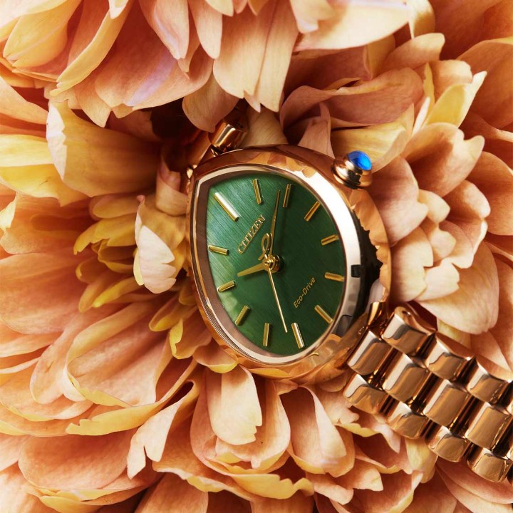 Obrázok z Citizen L Eco Drive Rainell