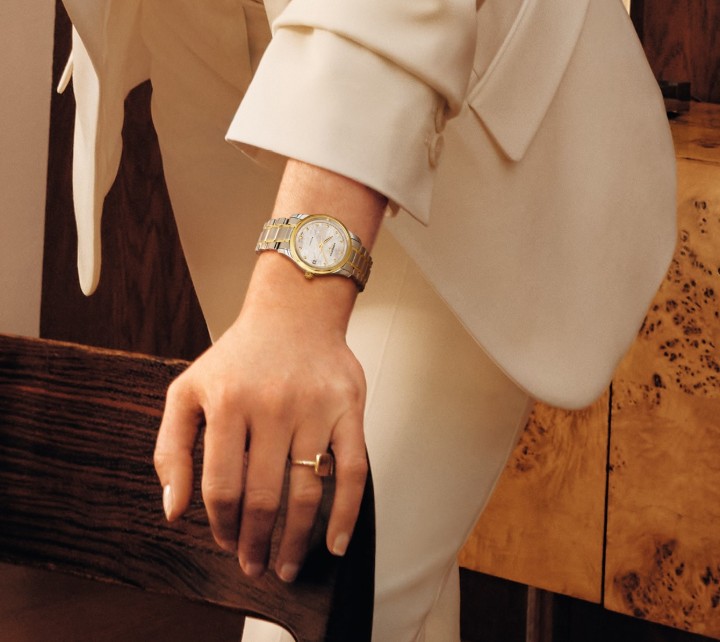 Obrázok z Longines Master Collection